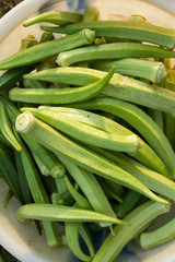 Fruits of lady fingers in a plastic bucket