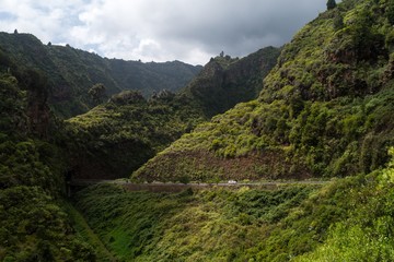 Wundervolles Grün in der Mitte von La Palma