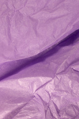 This is a closeup photograph of Purple Tissue paper