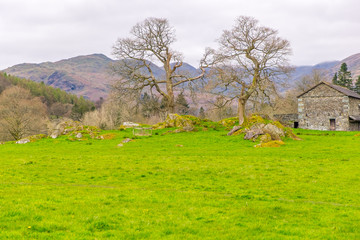Fototapeta premium meadow with traditional stone barn in The Lake District, Cumbria, England.