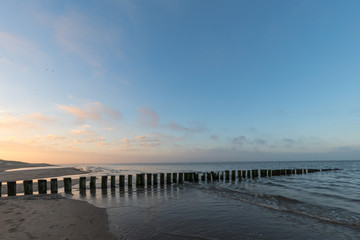 Timber Piles At Renesse Beach Zeeland / Netherland