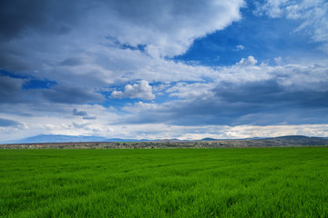 Obraz premium bright green field under a sky with clouds