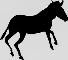 Hand drawn silhouette of a wild zebra on the run - Illustration, black isolated on white background