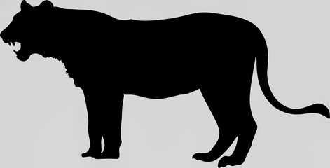 Hand drawn silhouette of a wild Lion - Illustration, black isolated on white background