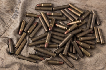 Bullets for the pistol lie on the fabric of protective color.