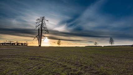 Obraz premium Early spring fields at sunset