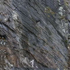 Seamless Rough natural stone with green and white moss texture
