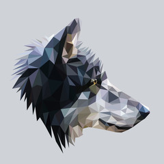 Wolf low poly design. Triangle vector illustration. - 143830135