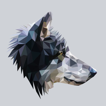 Wolf low poly design. Triangle vector illustration.