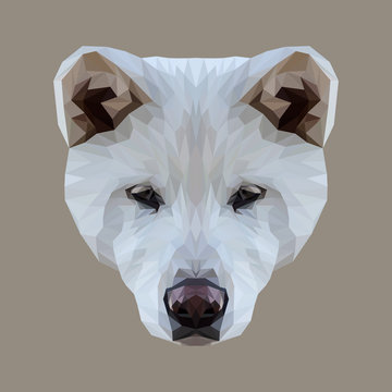 Akita Inu dog animal low poly design. Triangle vector illustration.