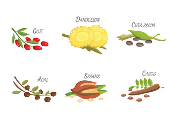 Set of Vector cartoon superfoods. Illustration for your design.