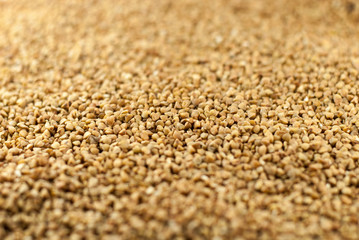 Buckwheat like texture