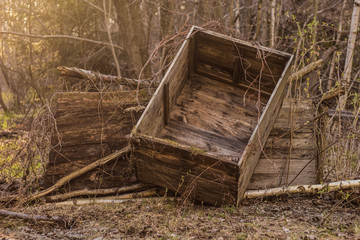 Wooden crate in the sunny forest garden.