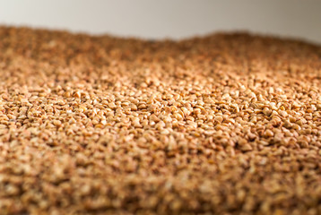 Buckwheat like texture