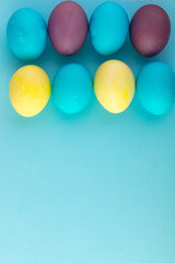 Colored easter eggs and willow on colored background