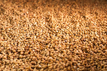 Buckwheat like texture