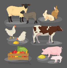 Farm animals set. Cartoon household icon collection.