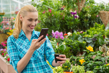 Mature woman shopping in a garden center