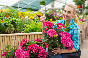 Female florist working at the greenhouse