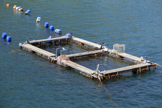 Oyster and fish production in Bistrina bay near town Ston on Peljesac peninsula in Croatia