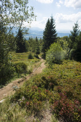 Slovakian mountains - Cheb Mala Fatra