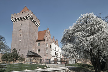 Fototapeta na wymiar Tower reconstructed royal castle in spring in Poznan.