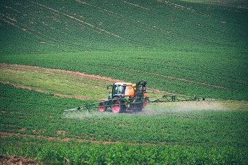 Fototapeta premium Farm machinery spraying insecticide to the green field, agricultural natural seasonal spring background. Tractor sprinkling pesticides against bugs on agricultural field