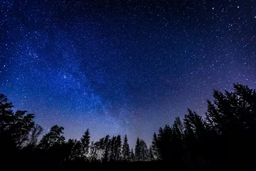 Afwasbaar fotobehang Nachtelijke hemel boven landelijk landschap © milosz_g