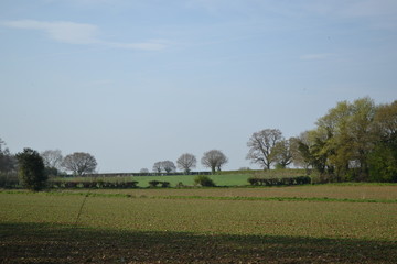 countryside fields norfolk