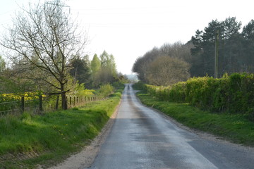 country road