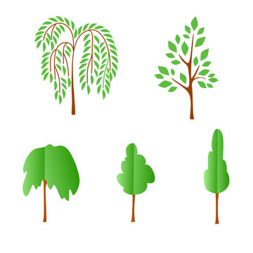 Vector flat trees on white background. Logo design illustration