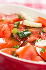 Closeup macro sliced tomato and onions salad on the table