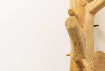 Thick Isolated tree trunk background