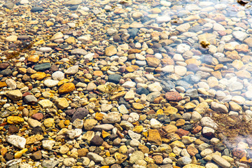 The bottom of colored pebbles in a shallow puddle.