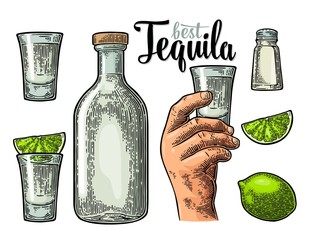 Set tequila. Hand hold glass, bottle, salt, lime whole and slice.