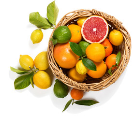 Citrus fruits in a basket.