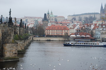bridge