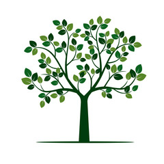 Obraz premium Green Tree with Leafs. Vector Illustration.