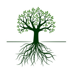 Obraz premium Green Tree with Leafs. Vector Illustration.