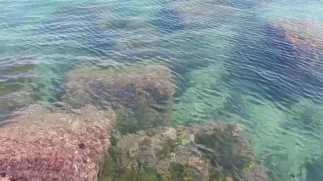 acqua del mare adriatico pulita e trasparente