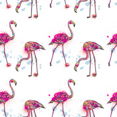 Pink flamingo  illustration