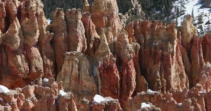 Bryce Canyon hoodoos colorful sandstone spires pan. Dixie National Forest in southwest Utah. Geological landscape weathering and water erosion. Ecological sensitive area, tourist destination.
