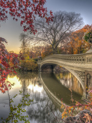 Bow bridge Central Park autumn - obrazy, fototapety, plakaty