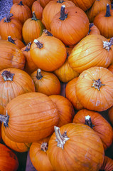  pumpkin large stack