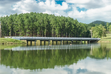Las terrazas, Cuba. Province of pinar del rio. La terrazas it's a natural touristic place.