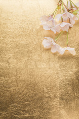 Fototapeta na wymiar 桜と金紙の背景
