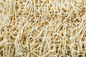 loofah body scrub texture for background, macro shot