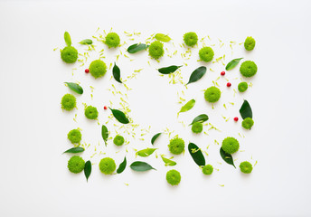 Pattern with petals of chrysanthemum flowers, ficus leaves and ripe rowan on white background. Overhead view. Flat lay.