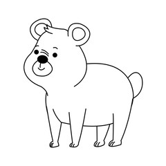 Obraz na płótnie Canvas cute bear animal, cartoon icon over white background. vector illustration