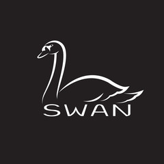 Vector of a swan on black background. Wild Animals.